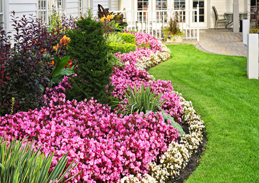 Garden with Nice Lawn